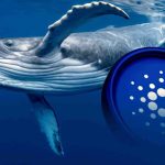 انباشت نهنگ‌ها در محدوده حمایتی؛ ADA در انتظار صعود تا ۰.۷ دلار!