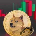 تغییر رفتار هولدرهای DOGE؛ حفظ حمایت کلیدی یا سقوط تا ۰.۱۴ دلار؟