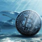 انباشت نهنگ‌ها در غیاب سرمایه‌گذاران خرد؛ شانس صعود بیت‌کوین چقدر است؟