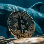 وقتی نهنگ‌ها می‌خرند و کاربران خرد می‌فروشند؛ راز نوسانات بازار کریپتو فاش شد!