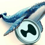 سرمایه‌گذاری میلیونی نهنگ‌ها در هایپرلیکویید؛ جهش قیمت HYPE با بازگشت خریداران؟