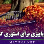 متن پاییزی برای استوری کردن و وضعیت واتساپ به همراه عکس نوشته های زیبا