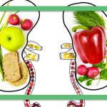 ۶ میوه طلایی برای سلامت کلیه‌ها