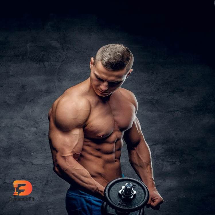 همه چیز راجب ورزش بدنسازی